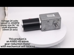 DC Sonsuz Dişli Motorları